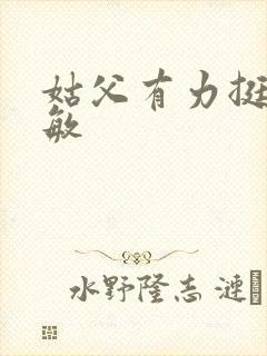 姑父有力挺送赵敏