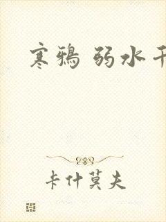 寒鸦 弱水千流封面