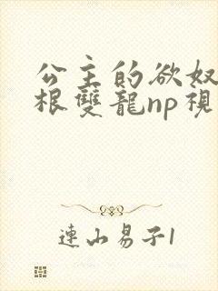 公主的欲奴h四根双龙np视频