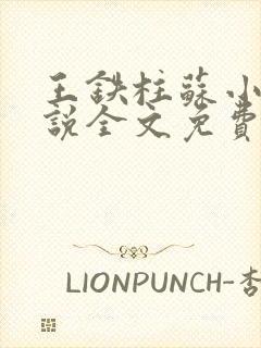 王铁柱苏小汐小说全文免费阅读最新章节