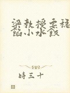 梁教授要稳住肉馅小水饺