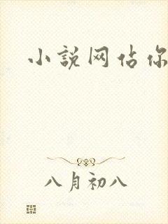 小说网站你懂的封面