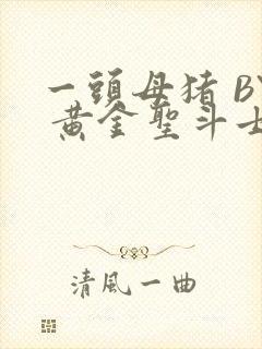 一头母猪 BY 黄金圣斗士