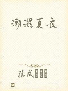 潮湿夏夜封面