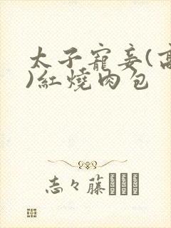 太子宠妾(高肉)红烧肉包