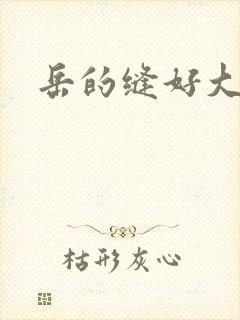 岳的缝好大封面