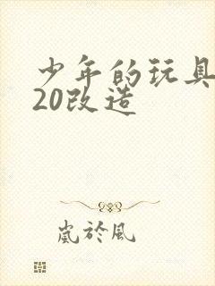 少年的玩具1一20改造封面