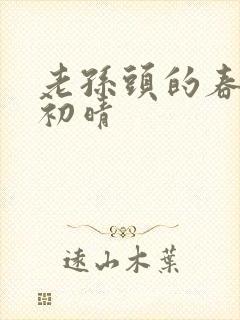 老孙头的春天林初晴