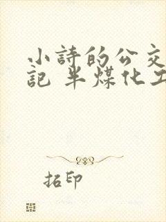 小诗的公交车日记 半煤化工封面