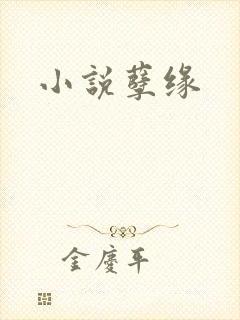小说孽缘