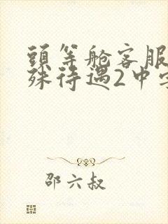 头等舱客服的特殊待遇2中字