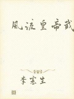 风流皇帝武则天封面