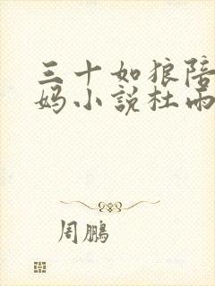 三十如狼陪读妈妈小说杜雨馨封面