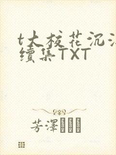 t大校花沉浮录续集TXT