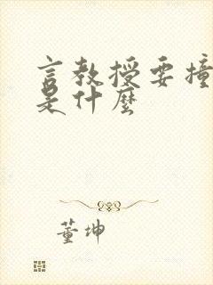 言教授要撞坏了是什么