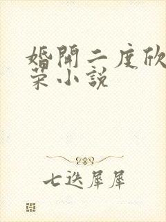 婚开二度欣欣向荣小说封面