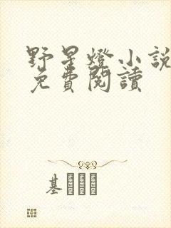 野星灯小说全文免费阅读封面