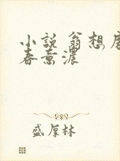 小说 翁想房中春意浓