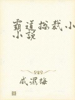 霸道总裁小娇妻小说