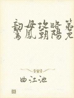 韵母攻略第二部鸾凤朝阳免费阅读