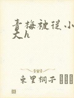 青梅被从小摸到大h封面