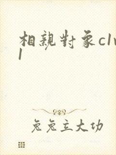 相亲对象c1v1