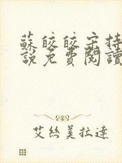 苏皎皎宋持的小说免费阅读