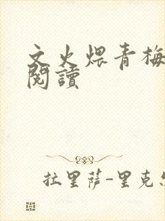 文火煨青梅免费阅读