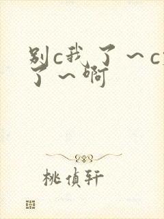 别c我了～c烂了～啊