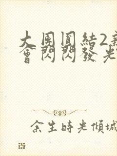 大团圆结2亲情会闪闪发光亲情会2