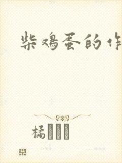 柴鸡蛋的作品