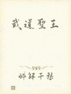武道圣王