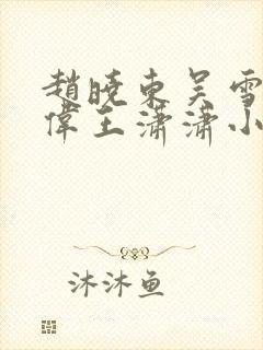 赵晓东吴雪晴郑伟王潇潇小说名字