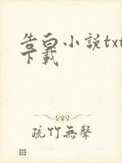 告白小说txt下载