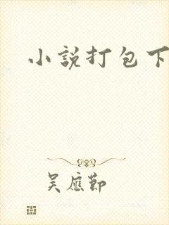 小说打包下载封面