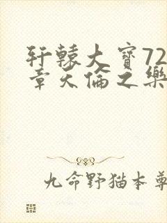 轩辕大宝720章天伦之乐封面