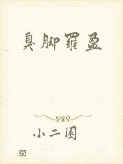 臭脚罗盈封面