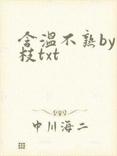 含温不熟by词枝txt封面