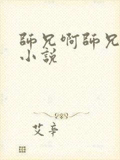 师兄啊师兄原著小说封面