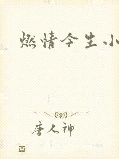 燃情今生小说