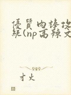 优质肉棒攻略系统(np高辣文)