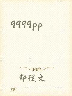 9999pp封面