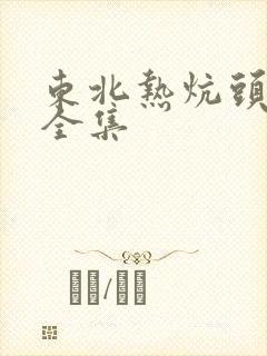 东北热炕头小说全集封面