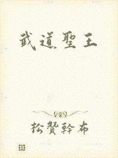 武道圣王封面