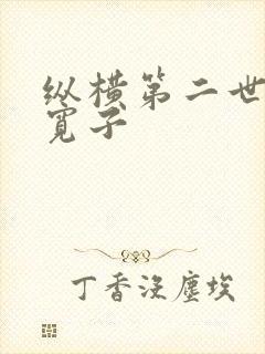 纵横第二世界 宽子