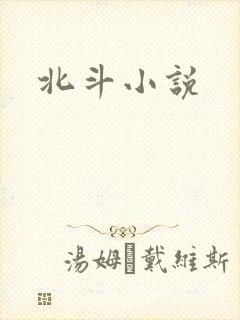 北斗小说封面