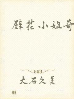 壁花小姐奇遇记