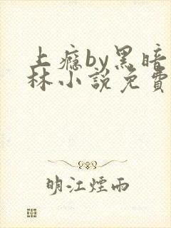 上瘾by黑暗森林小说免费