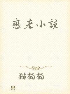 恋老小说