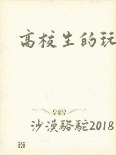 高校生的玩物